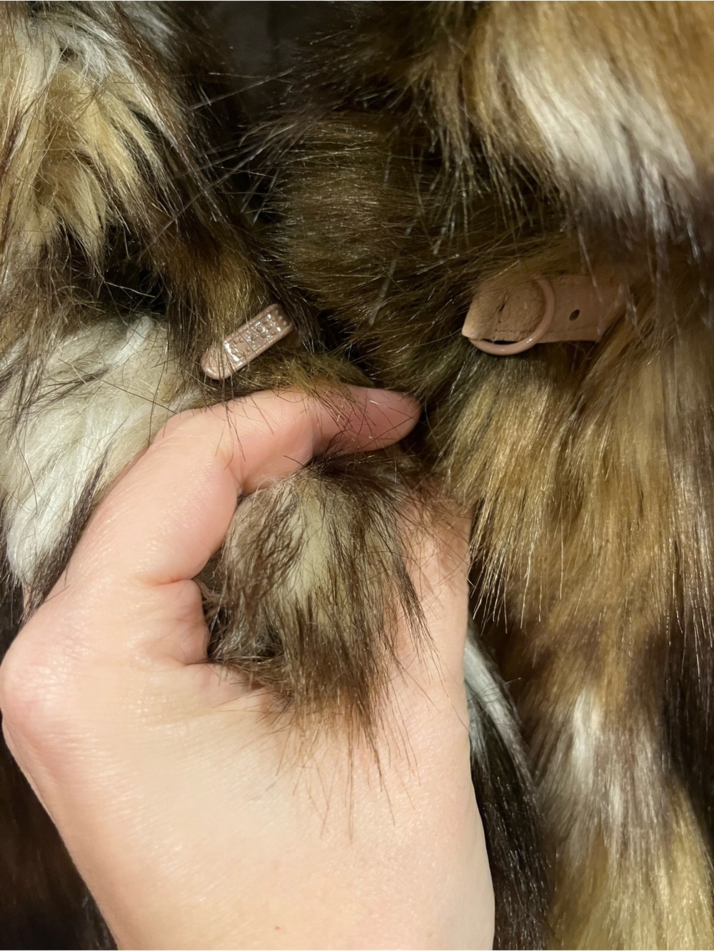 VENUS Multicolor Faux Fur Teddy Jacket in Brown & Cream Tones - Picture 5 of 9